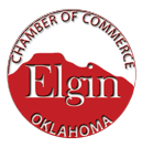 elgin chamber of commerce logo